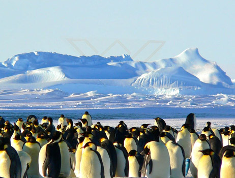 A picture of WundrBar on the beach