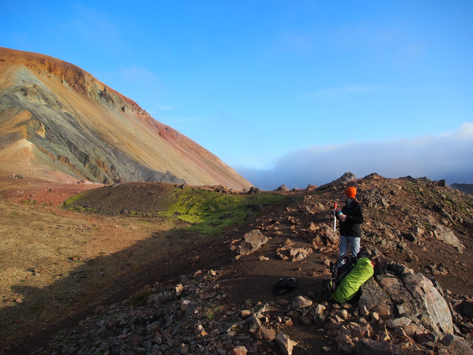 A picture of Queal in Iceland